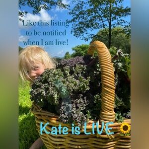 Kate is LIVE 🌻 Come hang out!